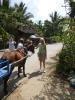donkey cart ride